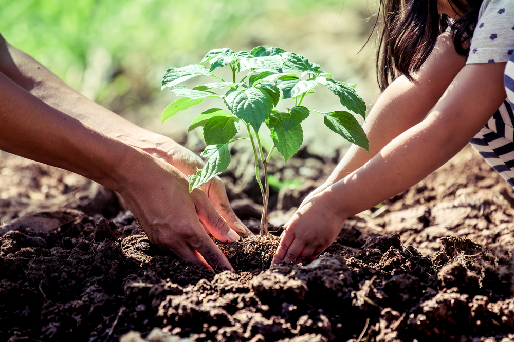 7 perfis para seguir e inspirar sobre conservação da natureza