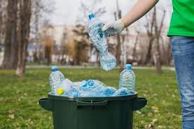 Aumento de resíduos domésticos poder gerar proliferação de pragas urbanas